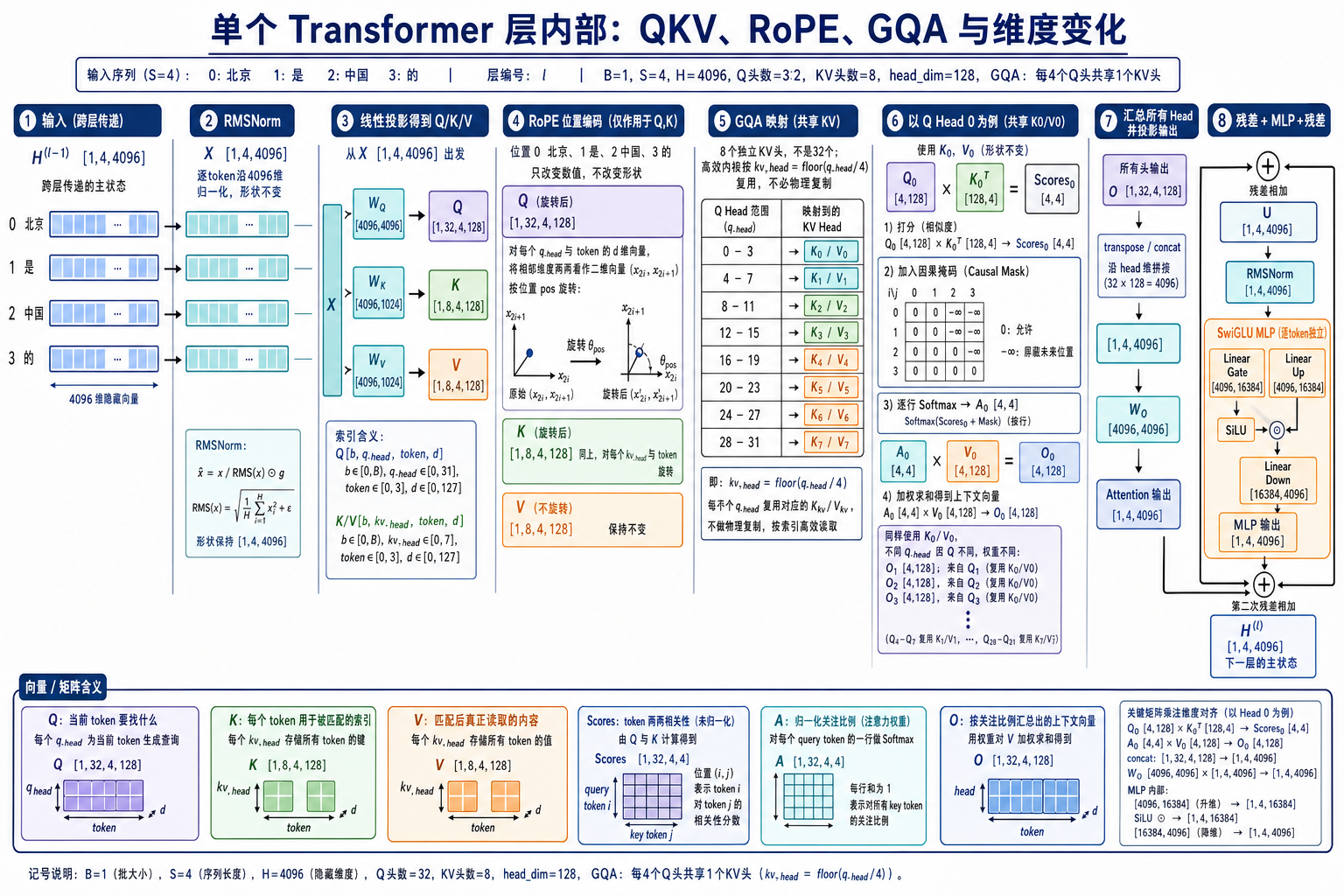 单个 Transformer 层内部的 QKV、RoPE、GQA 与维度变化